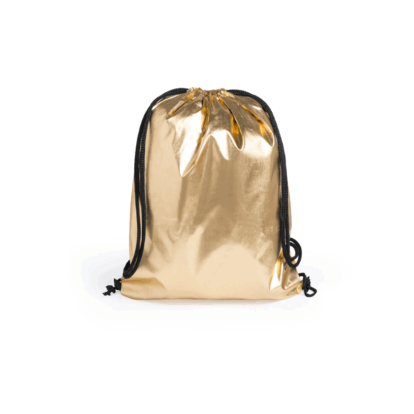 metallic backpack